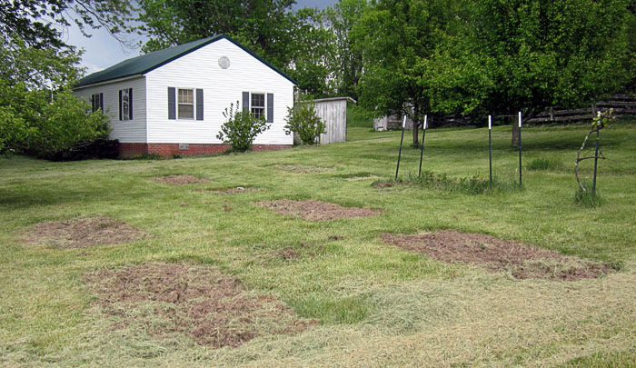 Garden20210514_5699_entireGarden_700.jpg