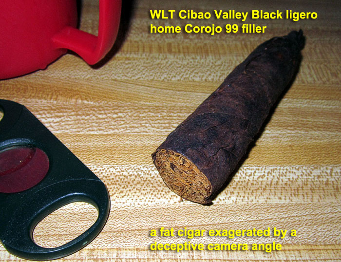 Garden20210820_5996_cigar_WLT_CVBlack_fat_700.jpg