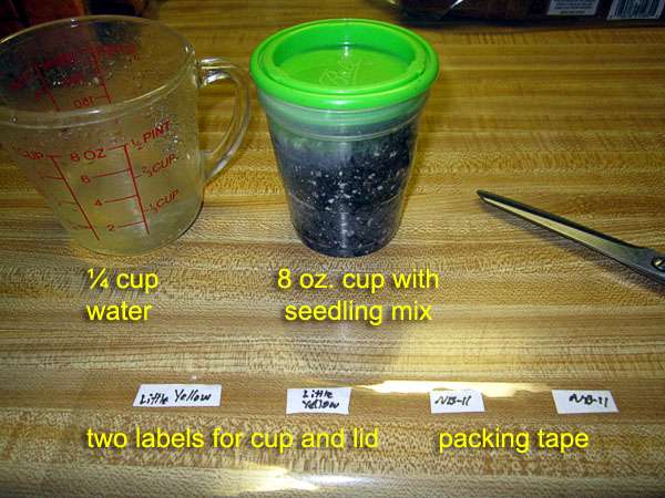 Garden20230301_6863_germinationStart01_600.jpg