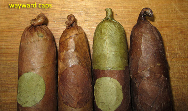 Garden20180708_3643_4Cigars_gift_head_600.jpg