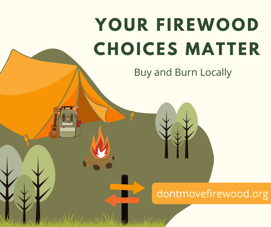 www.dontmovefirewood.org