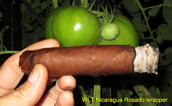 Garden20181009_3955_cigar_WLTRosado_700.jpg