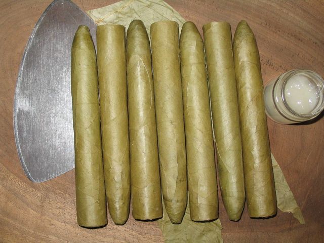 MarcL_20190305a.jpg