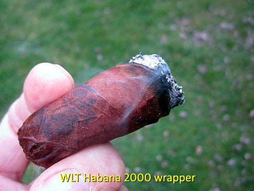 Garden20170326_2519_cigar_butt_Habana2000_500.jpg