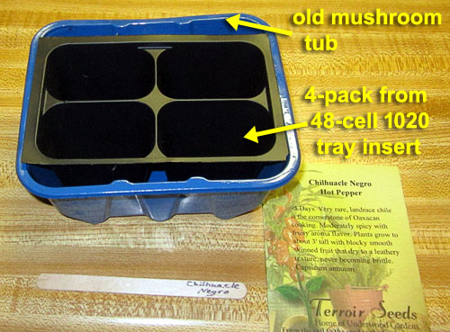 Garden20230303_6877_chilhuacle_starting1_trays_500.jpg
