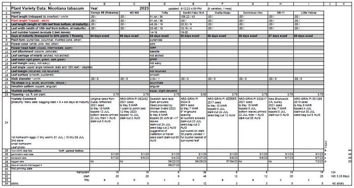 TobaccoPlantVarietyData_2023.JPG