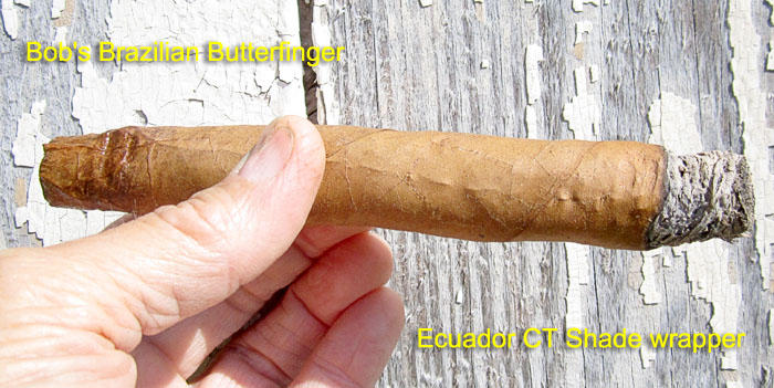 Garden20190526_4392_cigar_BrazilianButterfinger_700.jpg
