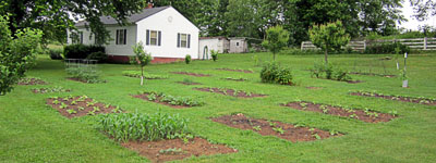 Garden20130606_663_EntireGarden_400.jpg