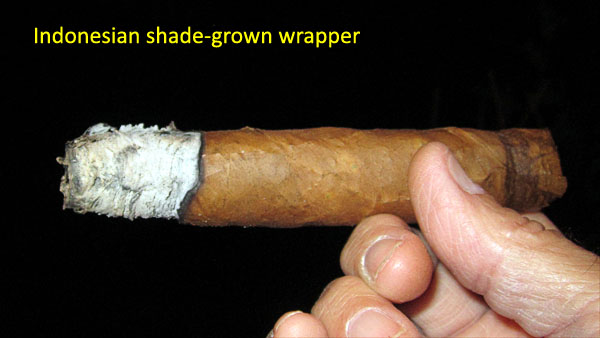 Garden20180605_3597_cigar_IndonesiaShade_600.jpg