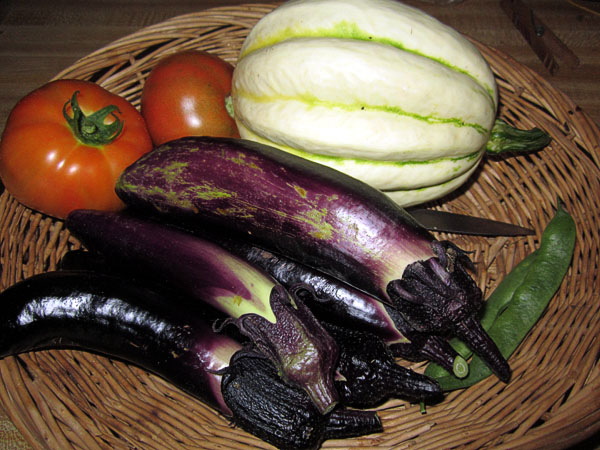 Garden20210713_5845_veggiesInBasket_600.jpg