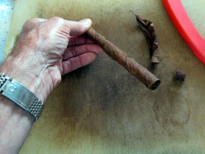 Garden20130922_983_stogie_6x32_300.jpg