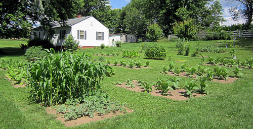 Garden20130622_698_EntireGarden_500.jpg