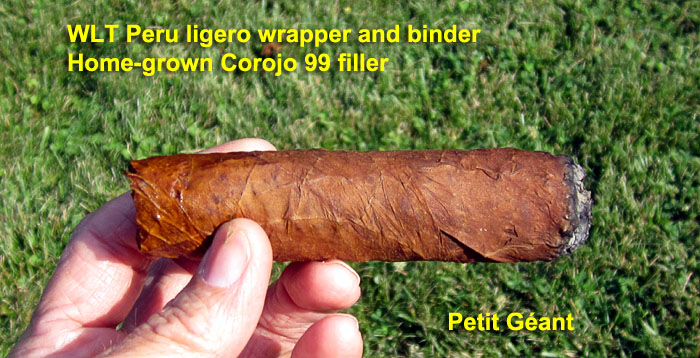Garden20210714_5846_cigar_PeruLigero_PetitGeant_700.jpg