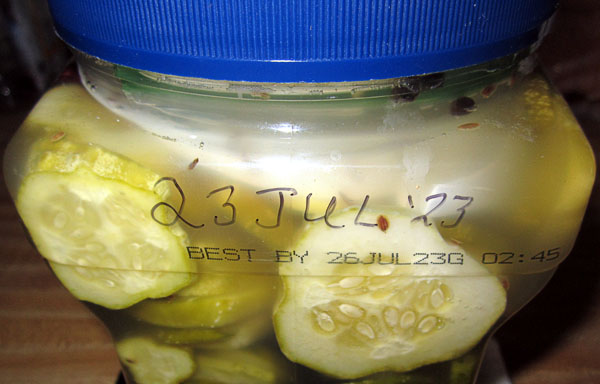 Garden20230726_7185_datingAPickleJar_600.jpg