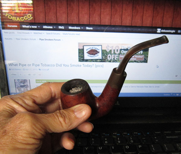 Garden20181020_3976_pipe_LondonPipe_600.jpg