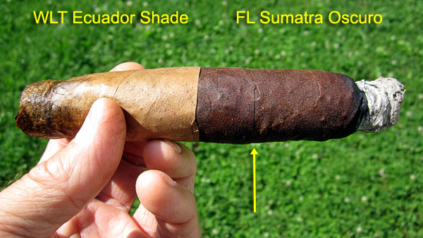 Garden20170816_2976_cigar_halfShadeHalfOscuro_600.jpg