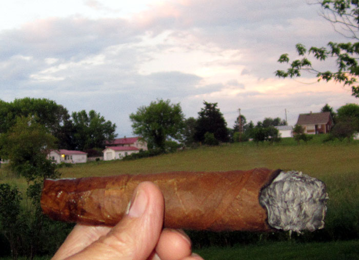 Garden20200529_5164_cigar_NicRosadoWrapper_700.jpg