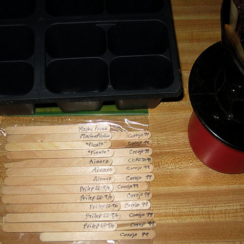 Garden20220124_6204_trayInsertLabels_500SQ.jpg