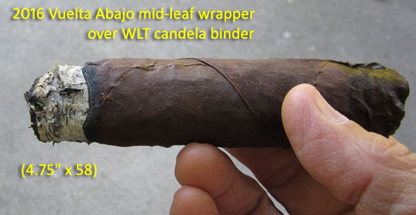 Garden20180605_3595_cigar_VueltaAbajo_600.jpg