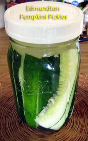 Garden20180704_3634_EdmundtonPumpkini_pickles_300.jpg