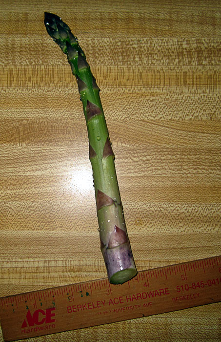 Garden20200424_5040_1stAsparagus_700v.jpg