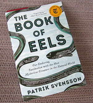BookOfEels_7810_myCopy_300.jpg