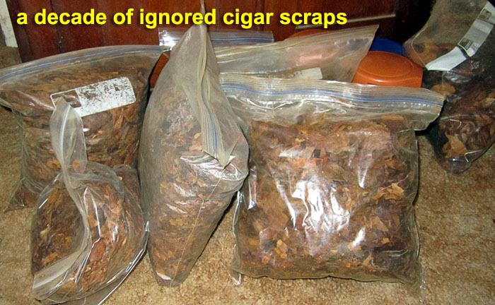 Garden20220114_6182_cigarScrapCollection_700.jpg
