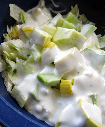 Garden20230708_7100_squashCukeSalad_400.jpg