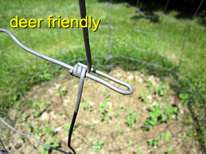 Garden20170529_2675_peaFence_deerFriendly_300.jpg