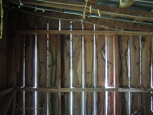 Garden20220719_6575_shed_WwallInterior_500.jpg
