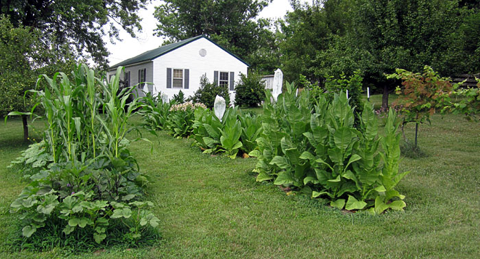 Garden20210716_5859_entireGarden_700.jpg