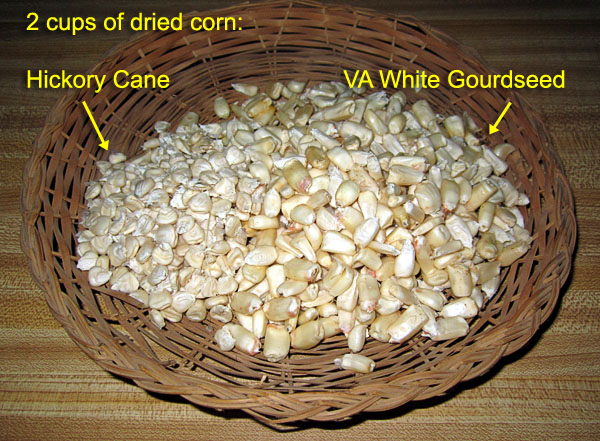 Garden20170928_3135_nixtamal_2C_driedCorn_600.jpg
