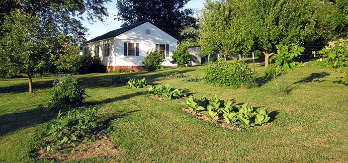 Garden20210615_5766_entireGarden_700.jpg