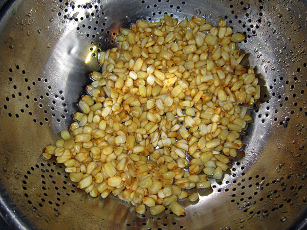 Garden20170929_3138_nixtamal_lime-treatedSoakedCorn_600.jpg