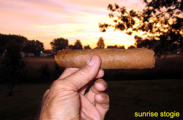Garden20170612_2707_cigar_sunriseStogie_600.jpg