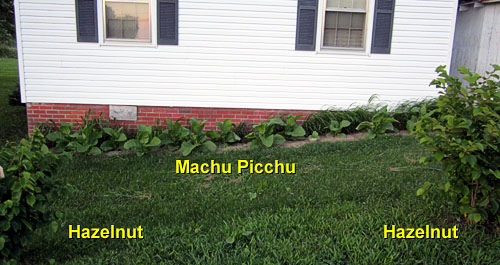 Garden20130628_733_MachuPicchu_bed_500.jpg