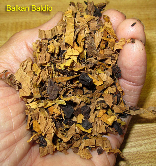 Garden20181012_3967_pipeBlend_BalkanBaldio_500.jpg