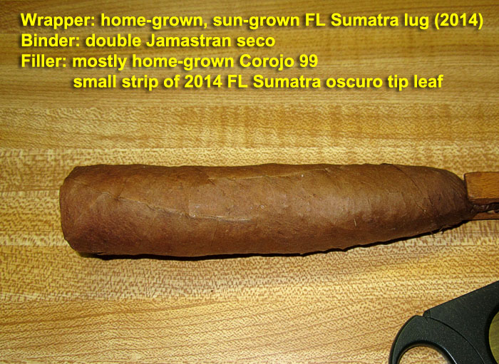 Garden20200628_5205_cigar_FLSumatra2014_Jamastran_700.jpg