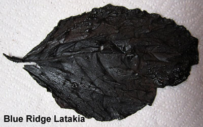 Making Latakia at Home | Fair Trade Tobacco