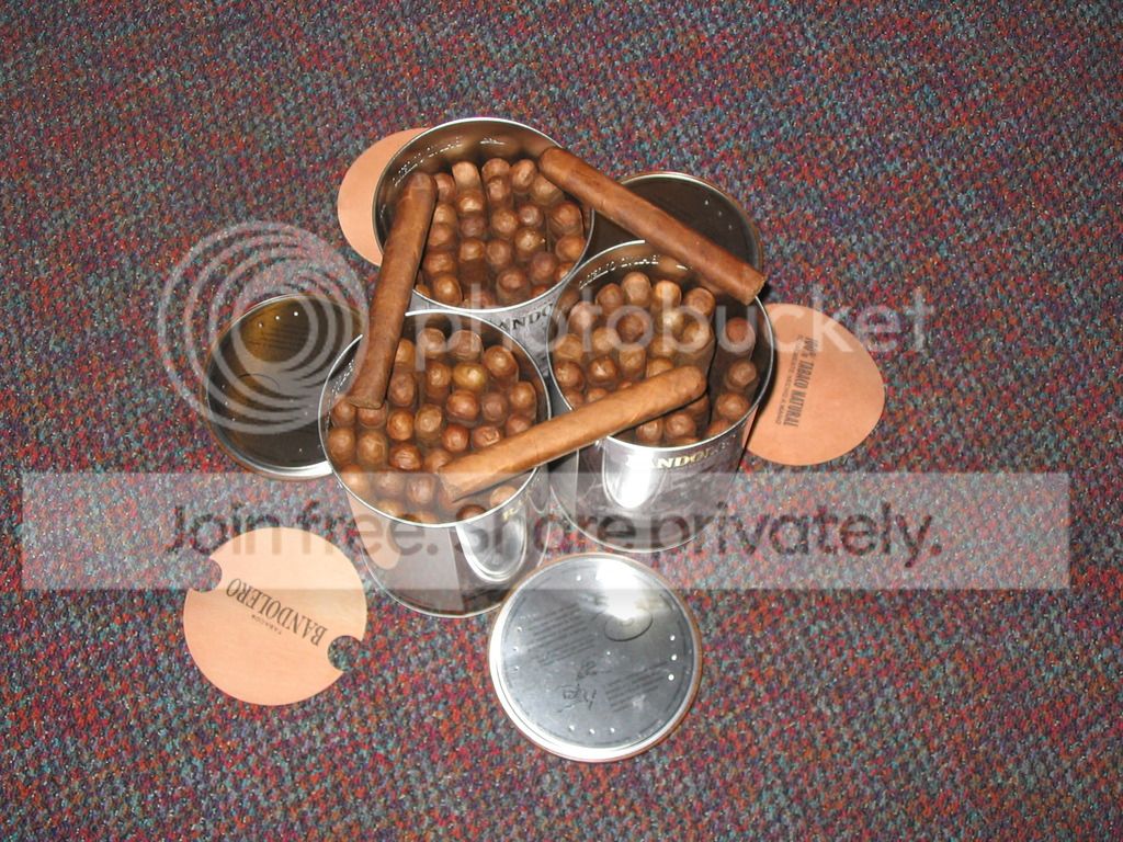 IMG_0033_zps4asfnneq.jpg%7Eoriginal