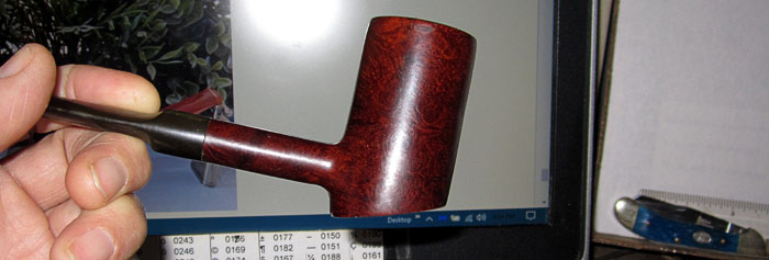 Garden20200405_5009_pipe_KnucksPokerSitter_700.jpg