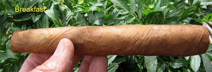Garden20190417_4227_cigar_EcuadorHabanoWrapper_700.jpg