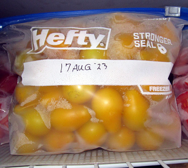 Garden20230819_7246_yellowPearTomatoes_frozen_600.jpg