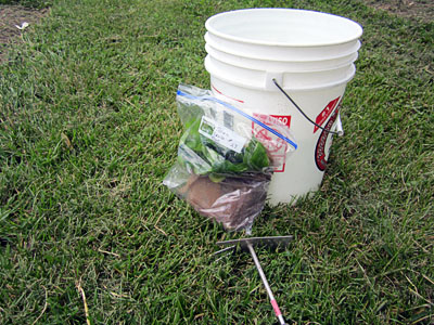 Garden20130517_615_BBseedlings_bucket_trowel_400.jpg