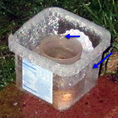 Garden20200520_5125_fertilizer_rainSolubility_48hrs_400.jpg