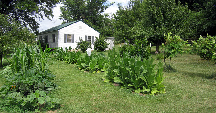 Garden20210708_5835_entireGarden_700.jpg