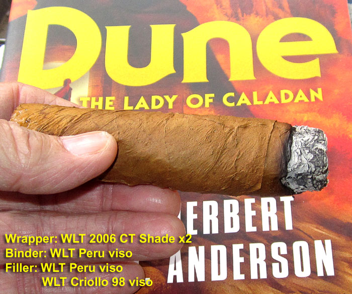 Garden20250928_7687_cigar_CTShade2006_700.jpg