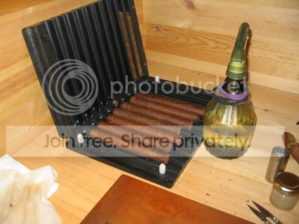 IMG_0321_1_zpsqkq2vbq1.jpg