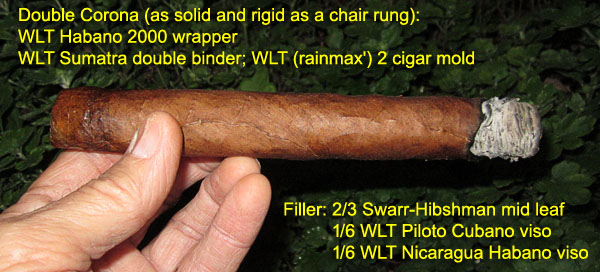 Garden20170918_3089_cigar_Habano2000Wrapper_doubleCorona_600.jpg