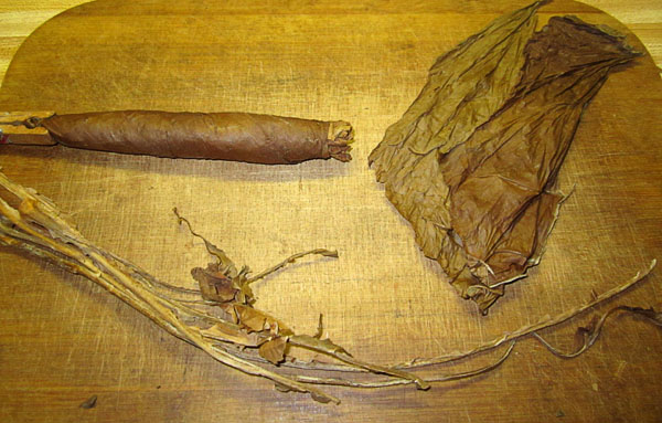 Garden20200630_5208_cigar_ingredientsAssembled_600.jpg